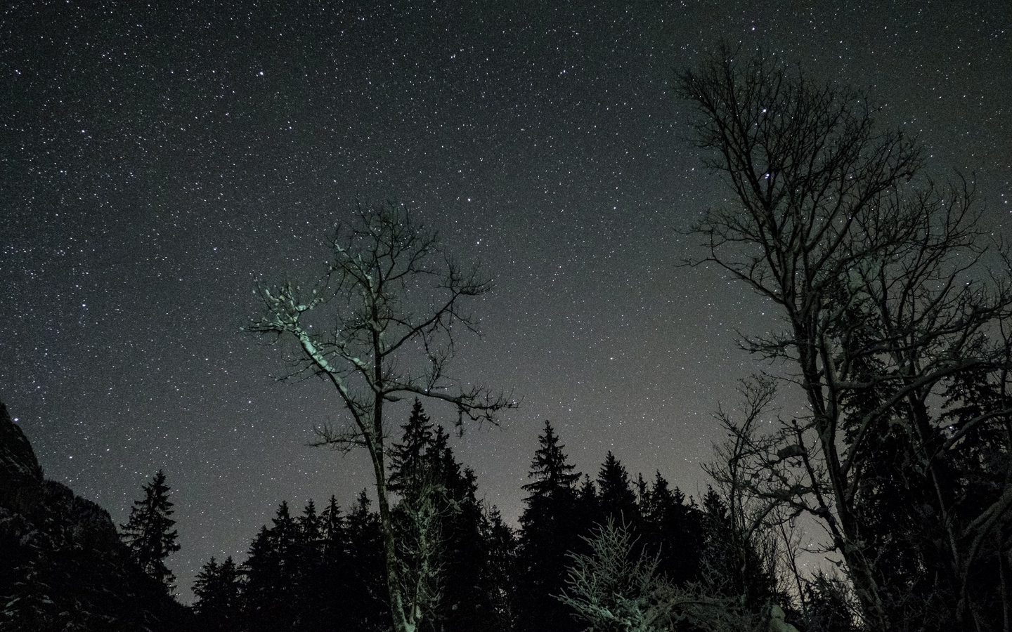 空旷宇宙繁星夜空树杈仰望星空大屏高清1440x900桌面壁纸