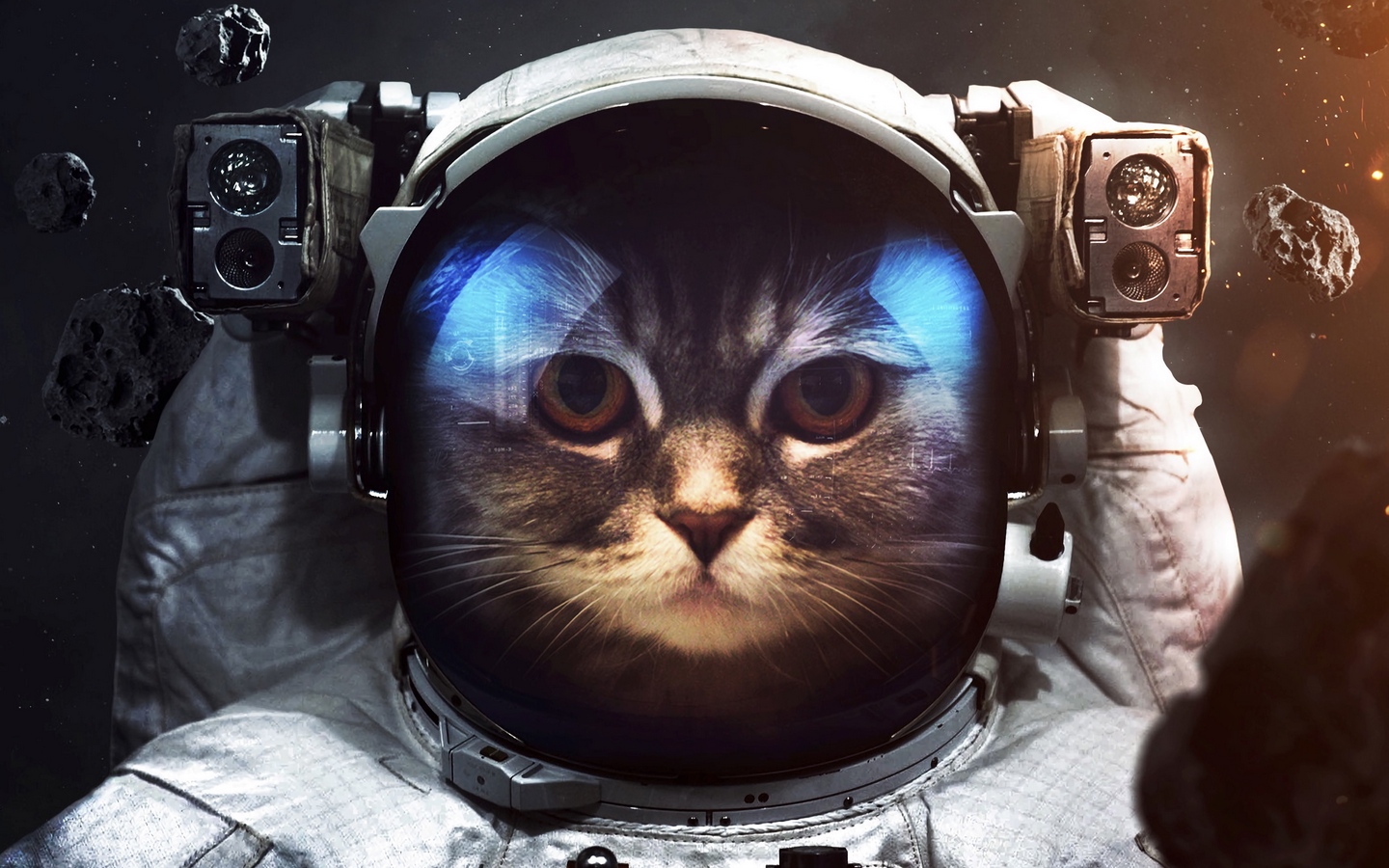 圆脸小猫穿着宇航服在宇宙背景中自拍大屏高清1440x900桌面壁纸