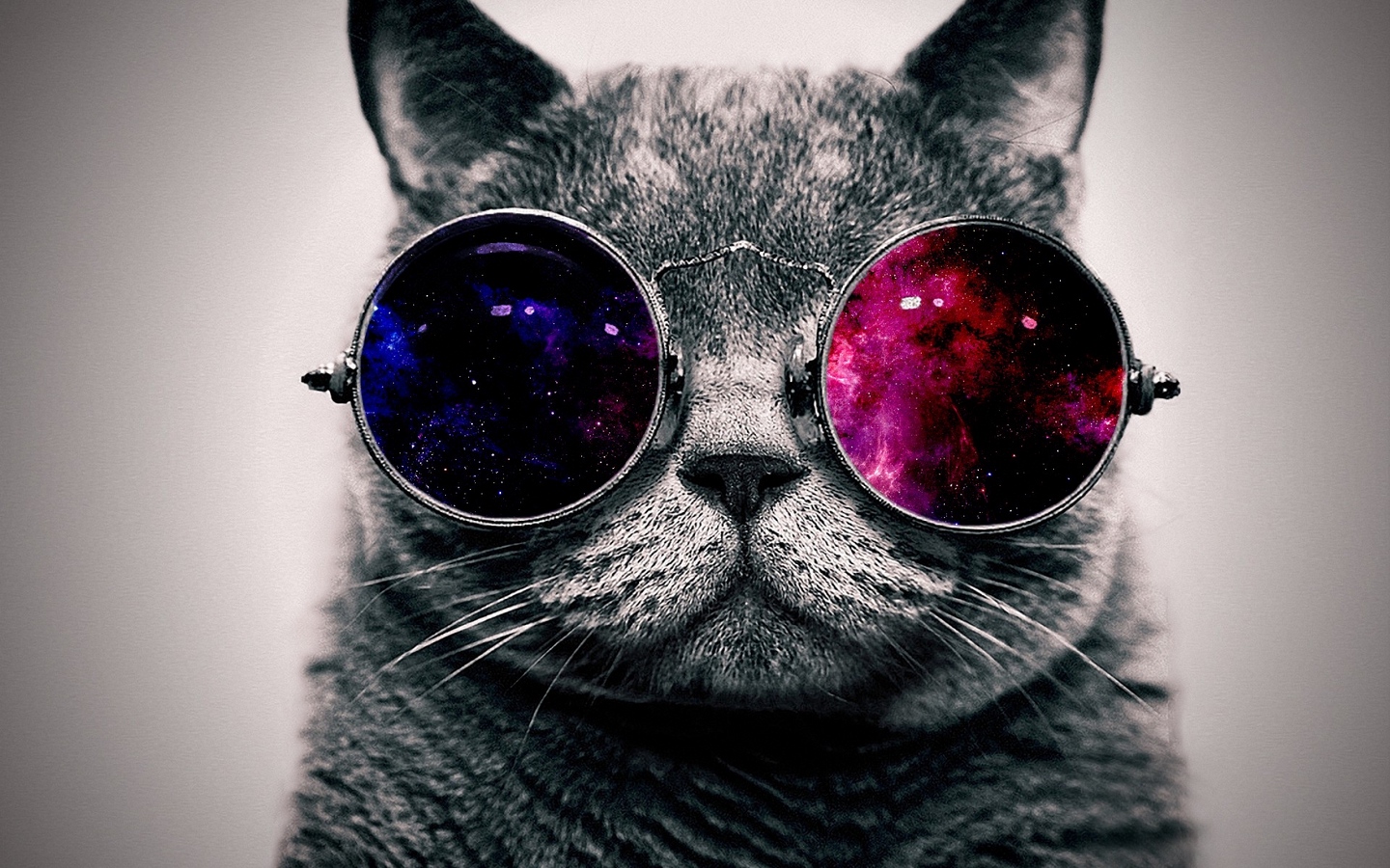 沙特尔猫戴着红蓝眼镜看宇宙大屏高清1440x900桌面壁纸