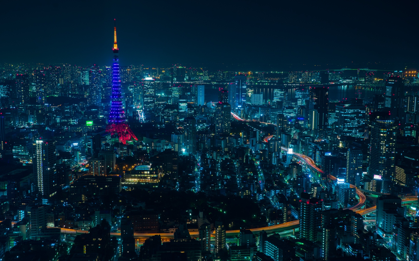俯瞰东京铁塔城市夜景大屏高清1440x900桌面壁纸
